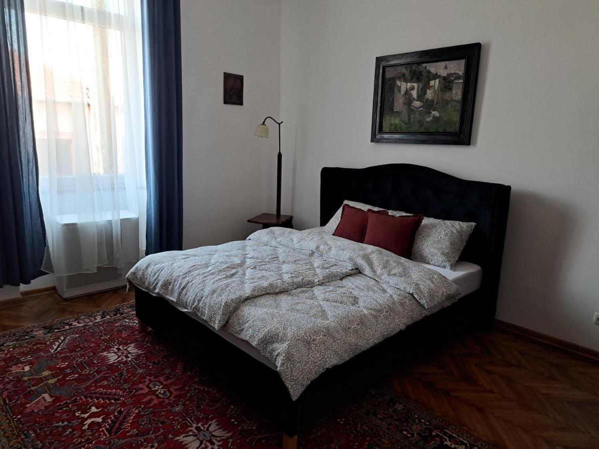 Weisz Apartment-City Center-Free Private Parking,Wifi,Ac Carei Ngoại thất bức ảnh